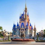 Airbnb Property Management Near Disney World for Stress-Free Ownership